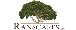 Ranscapes
